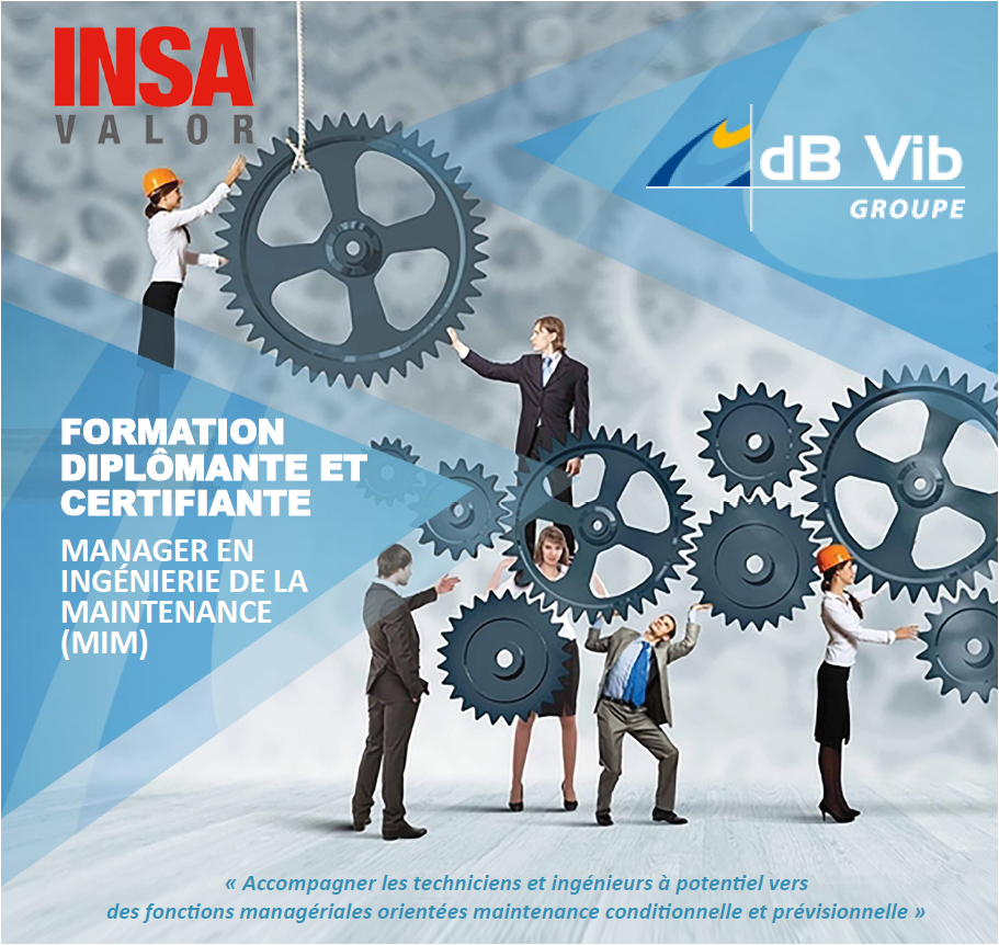 Master Manager En Ing Nierie De La Maintenance Db Vib Groupe