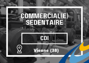 commercial(e) sédentaire